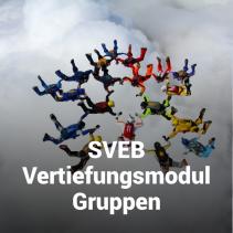 SVEB Vertierungsmodul Gruppen