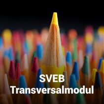 SVEB Transversalmodul