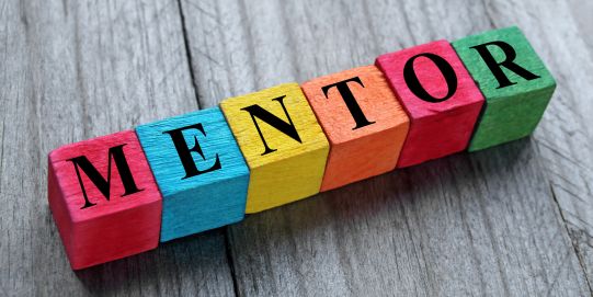 eidg. FA betriebliche/r Mentor/in 