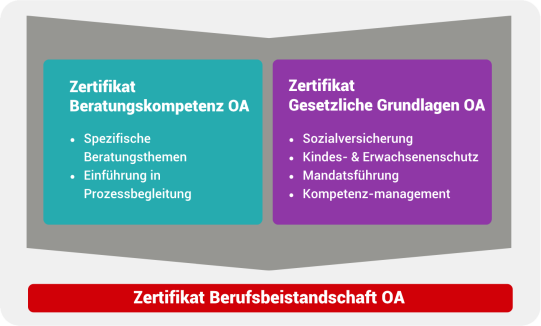 Ausbildungsweg Berufsbeistand