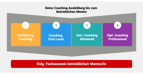 Ausbildungsweg Coaching bis zum Betrieblichen Mentor