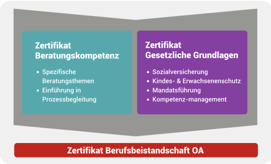Ausbildungsweg Berufsbeistand