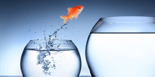 Resilienz - Die innere Widerstandskraft