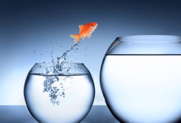 Resilienz - Die innere Widerstandskraft