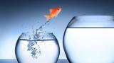 Resilienz - Die innere Widerstandskraft