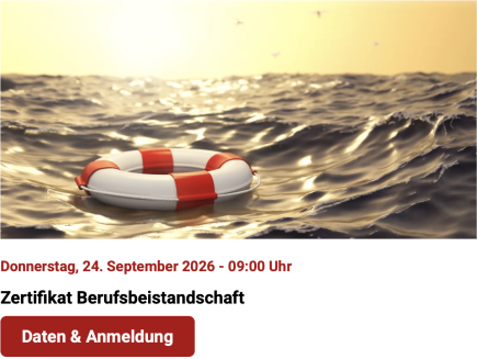 Berufsbeistand Zertifikat