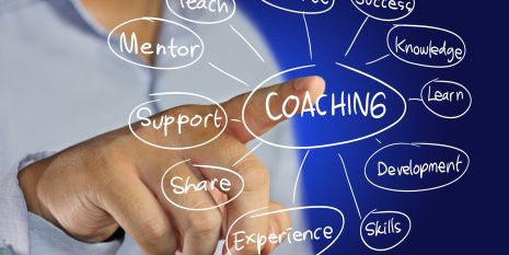 Diplom Coaching Professional