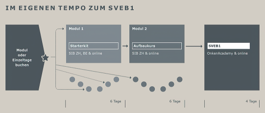 SVEB Grafik SIB